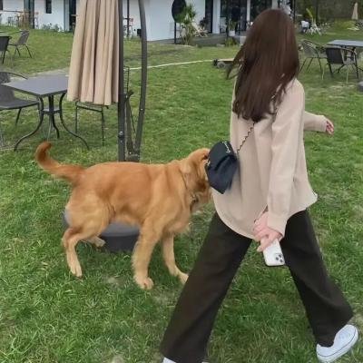美味家族
